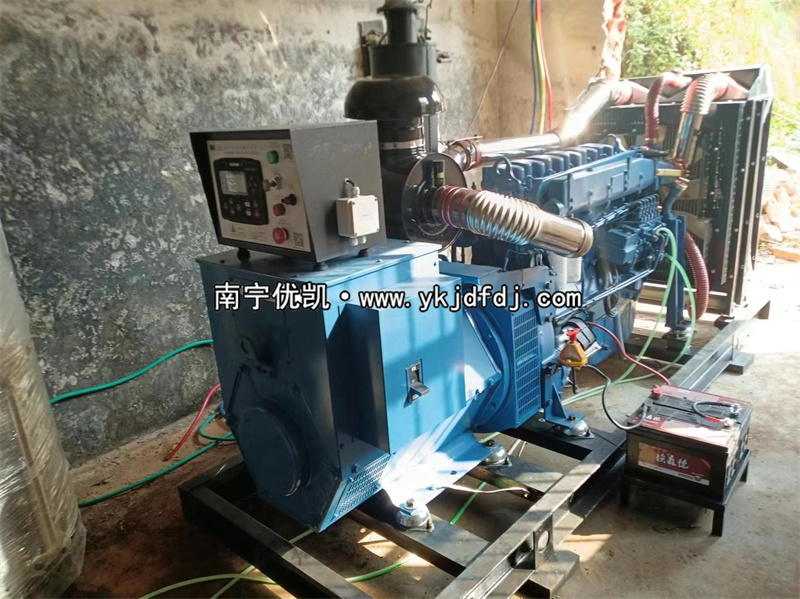 2024年3月5日，200kw濰坊雷納發(fā)電機(jī)組某學(xué)校到貨安裝