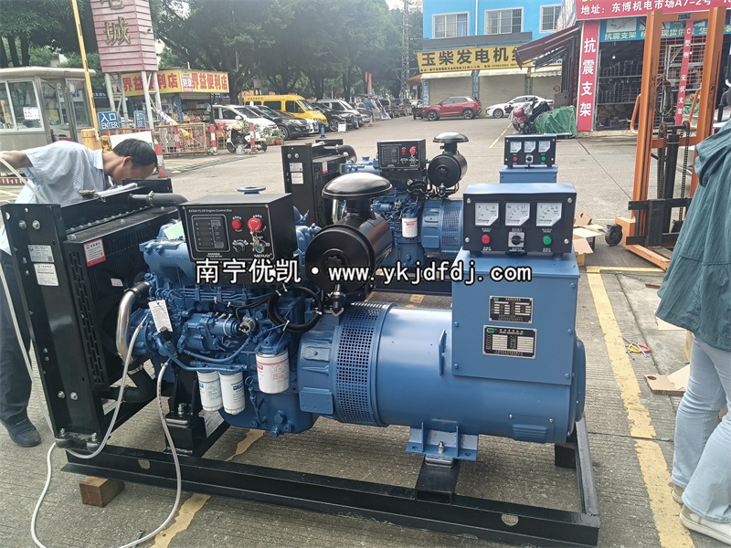2024年5月31日，兩臺50KW玉柴發(fā)電機(jī)組試機(jī)發(fā)貨南寧某養(yǎng)殖場